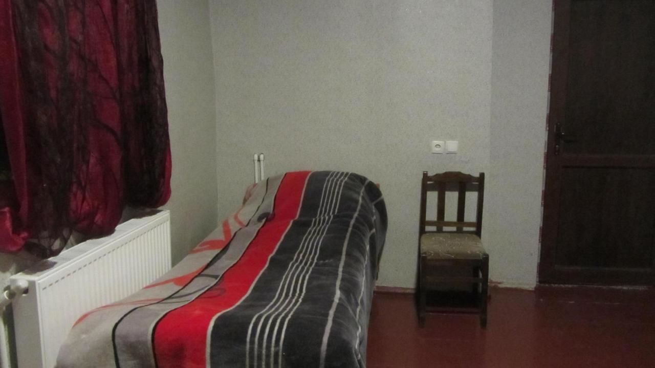 Гостевой дом Guest House Adelina Местиа-32